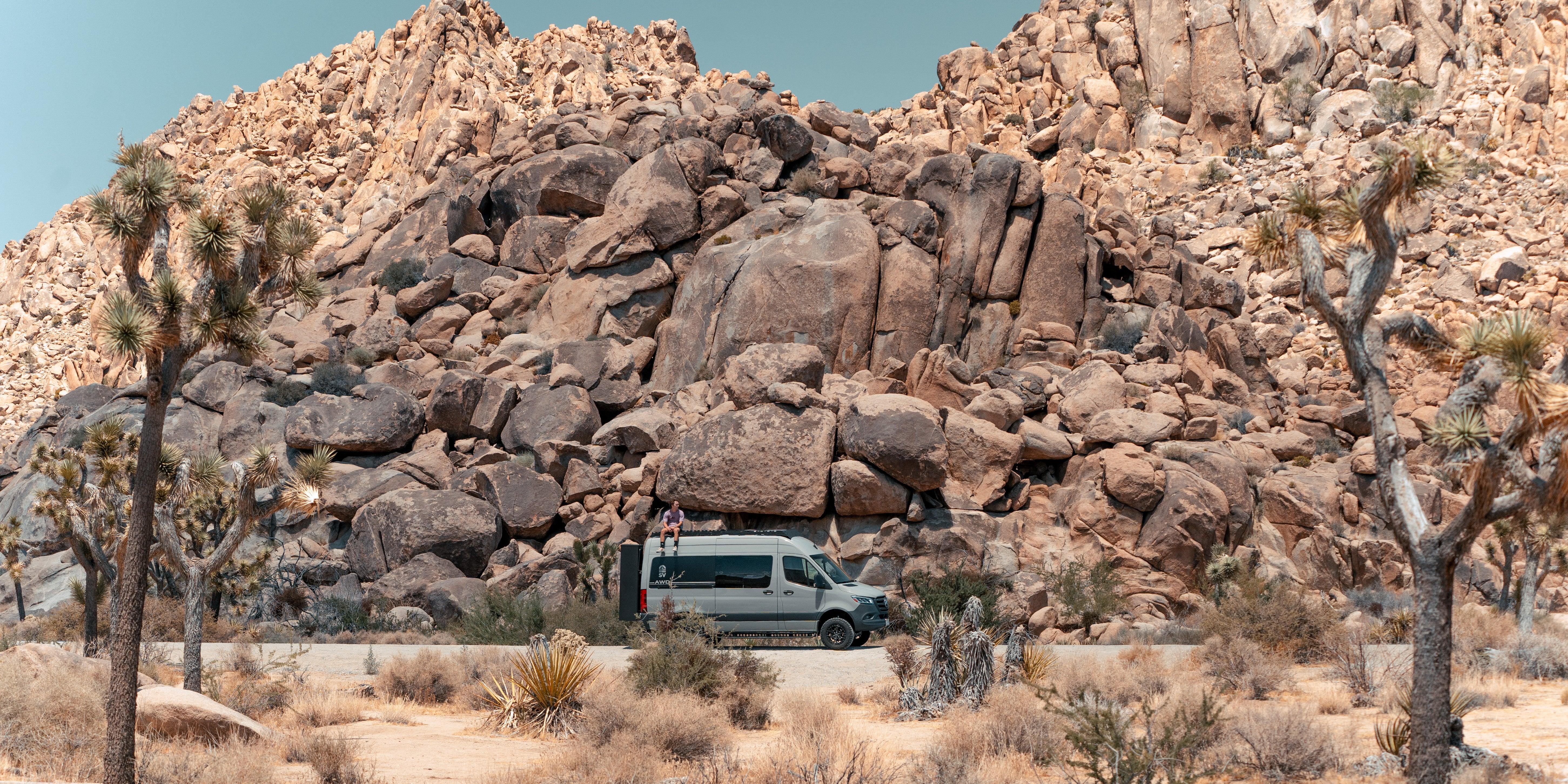 Adam Vandler - Image 19