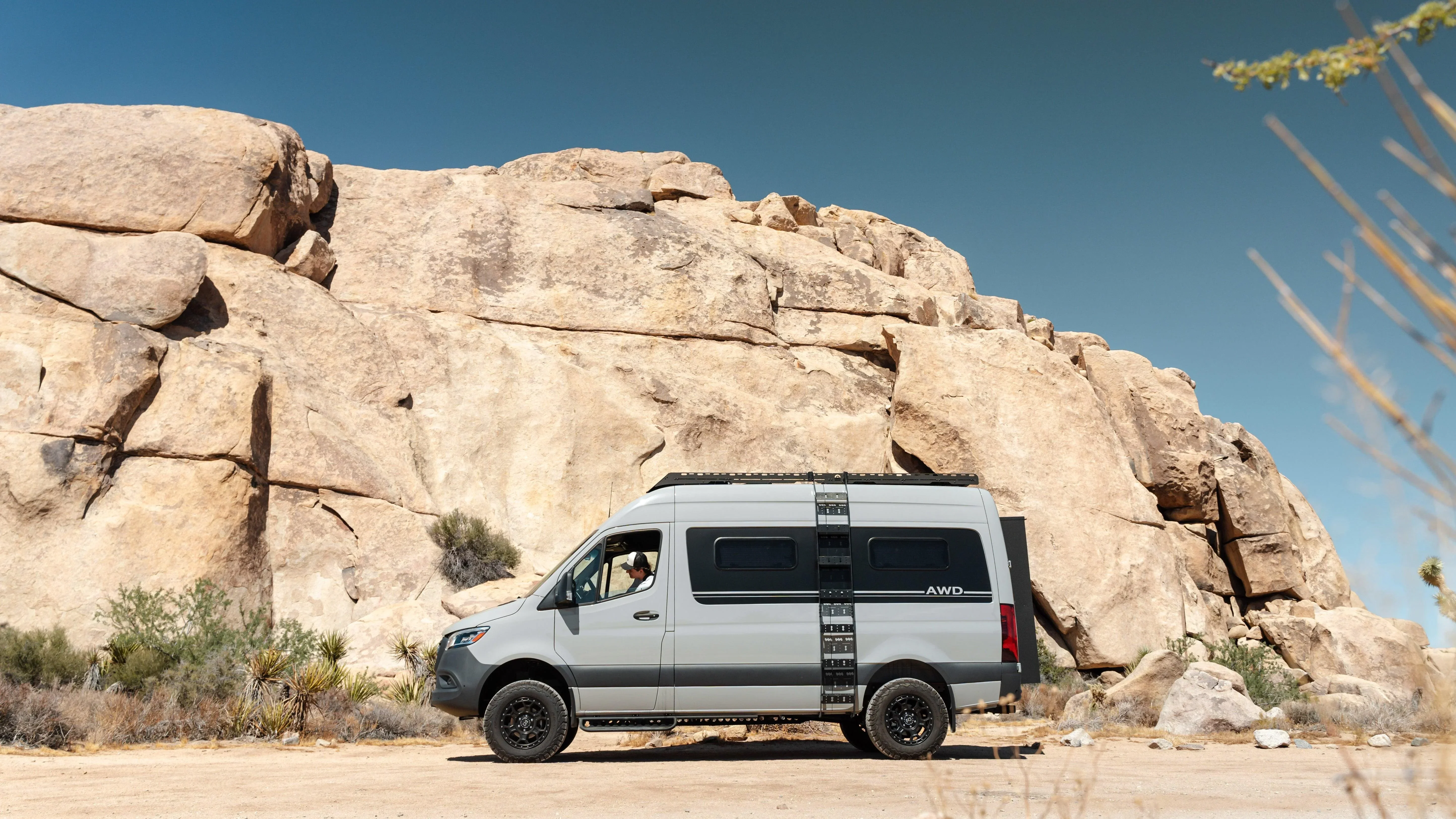 Adam Vandler - Image 22