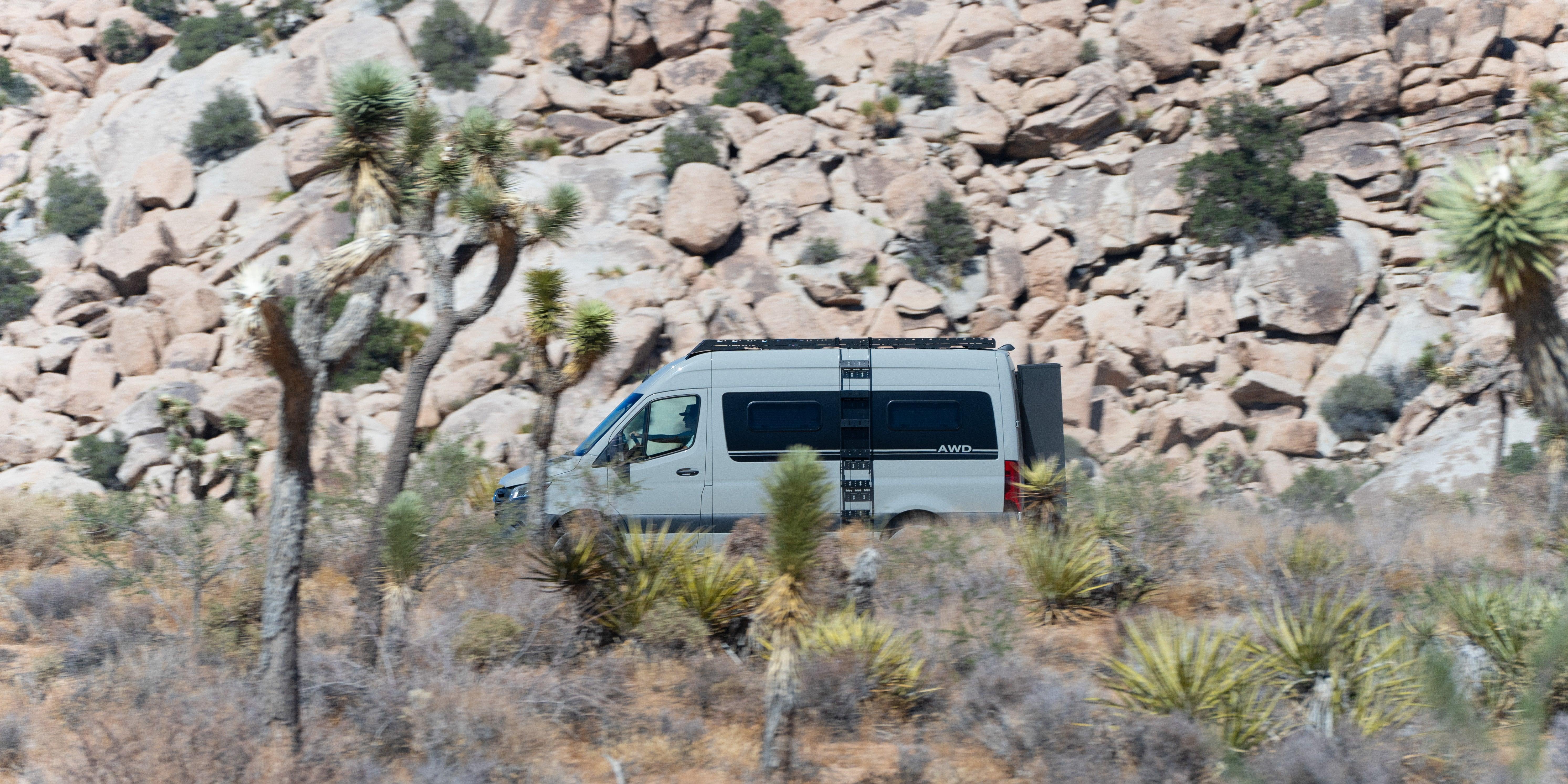 Adam Vandler - Image 23