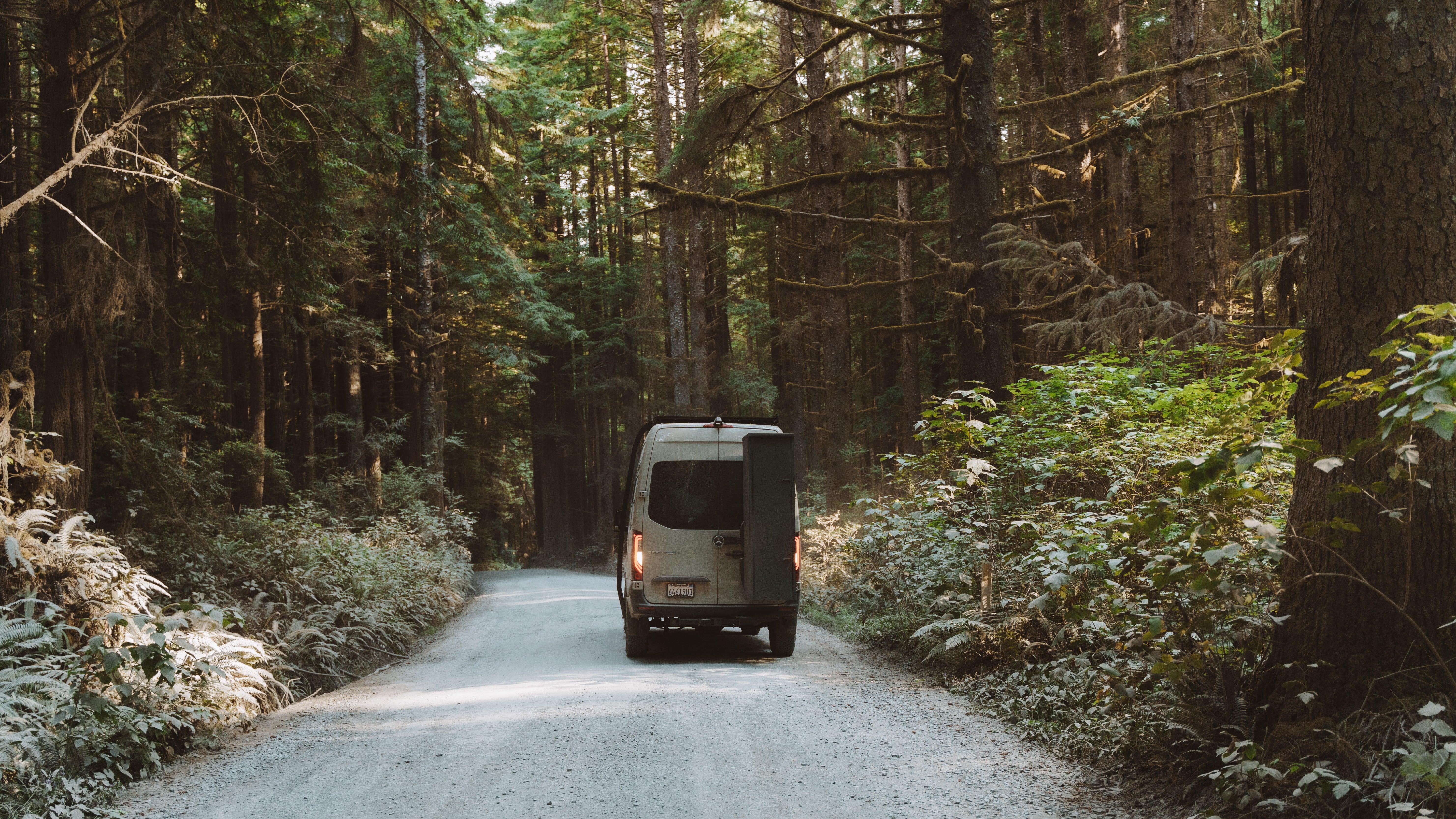 Adam Vandler - Image 50