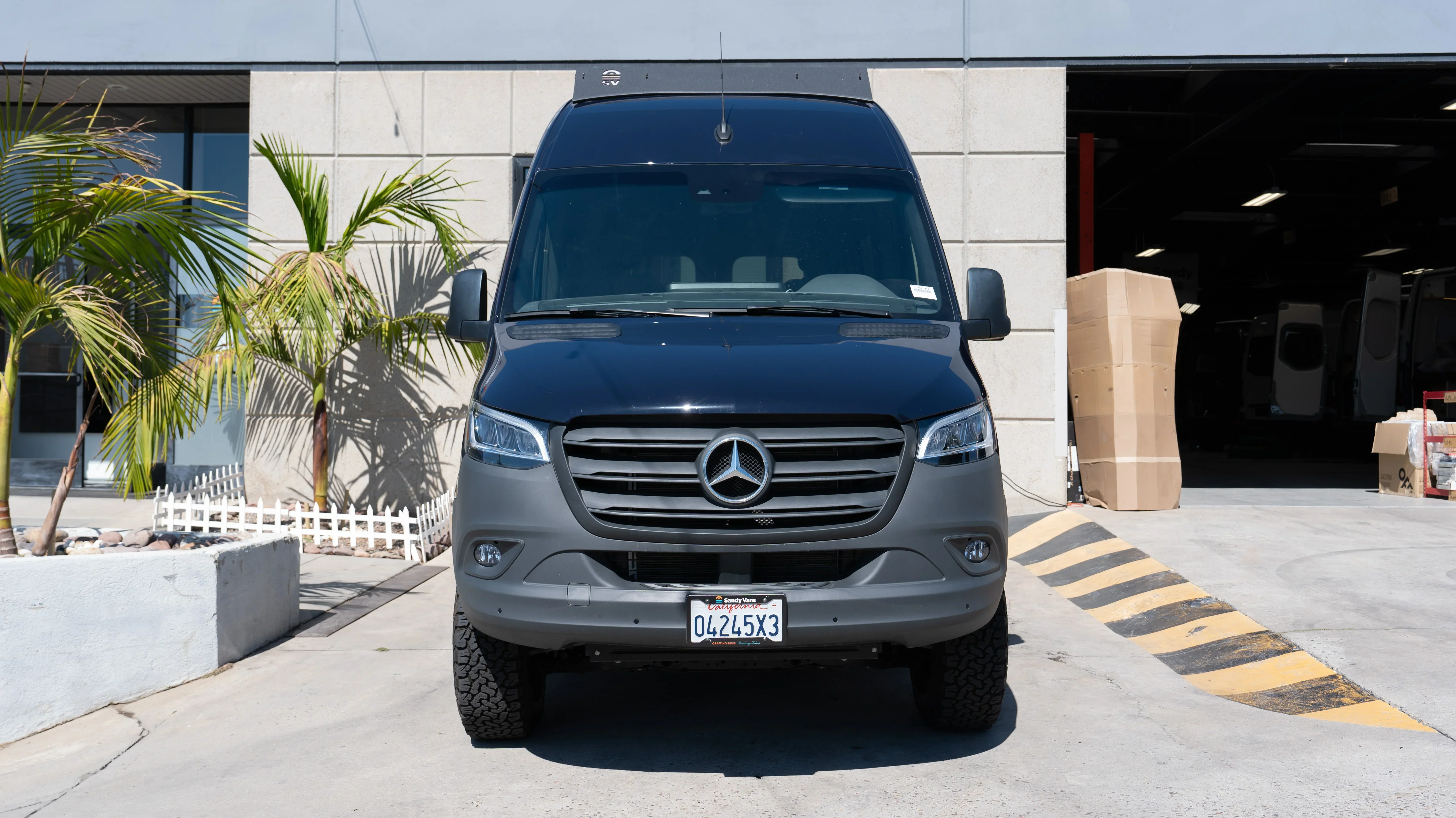 Sandy Sunday - BONES BUILD - Image 14