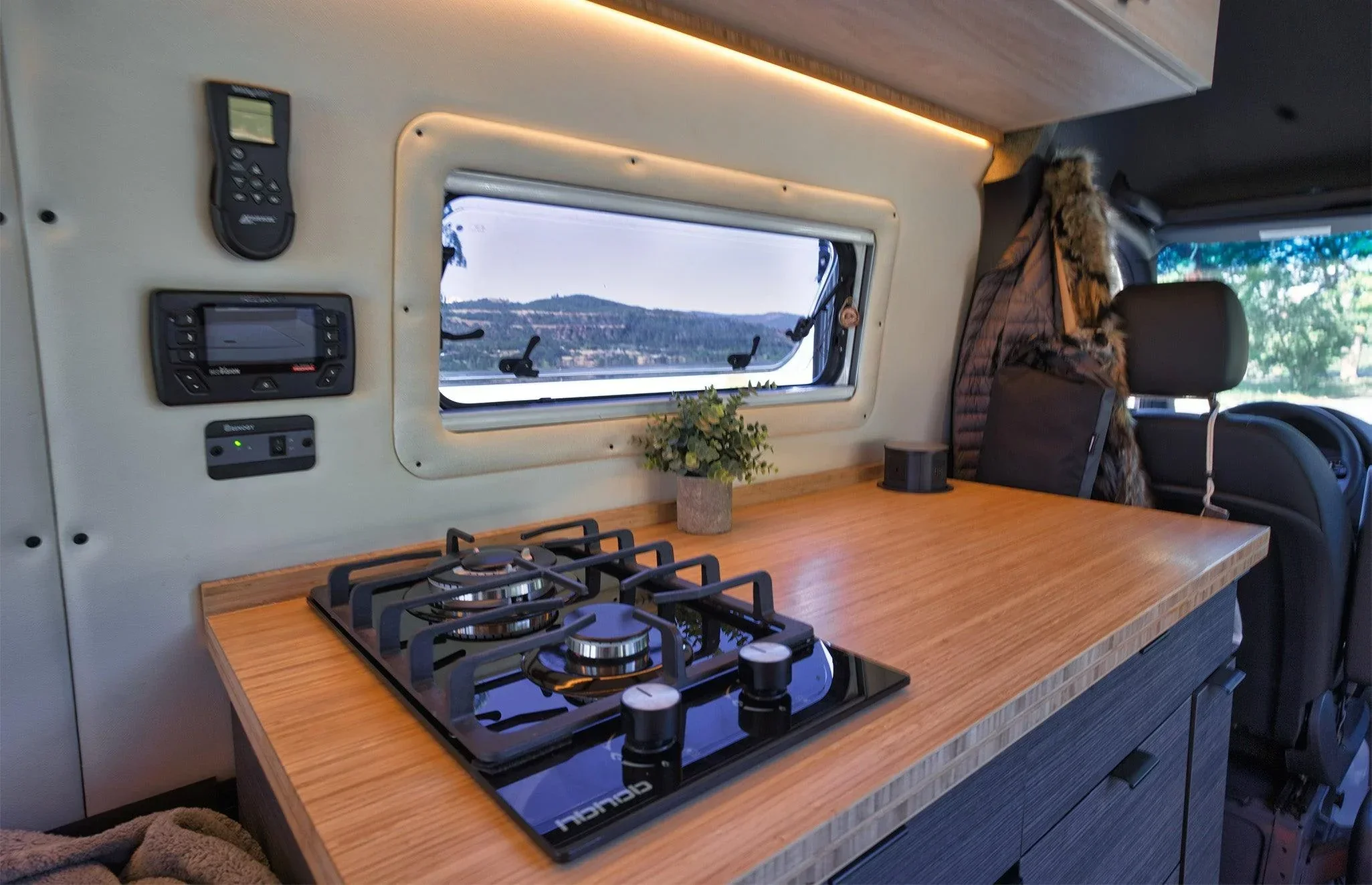 Vangelina Jolie - Image 3